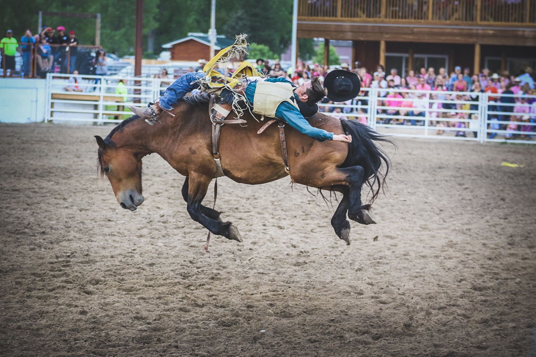 Buffalo Bill Rodeo Night 2 (38).jpg